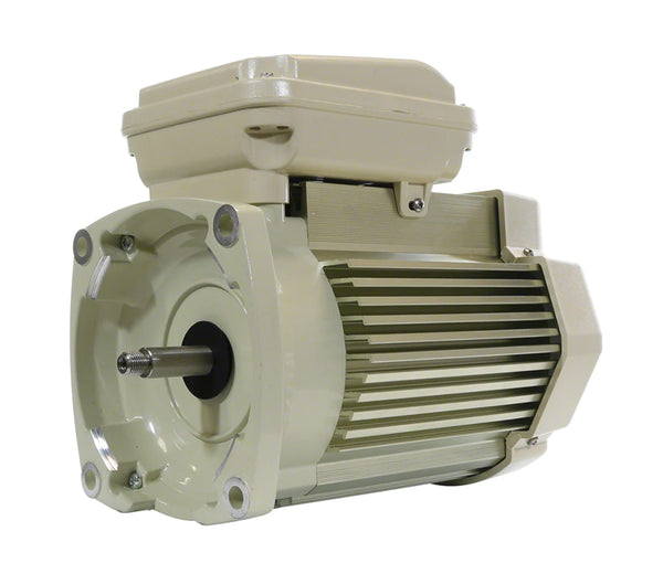 Pentair 354817S. 3HP 208-230Volt. WhisperFlo Pump Motor. Almond