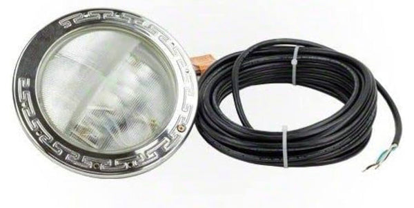 Pentair EC-601302. White LED Light. 100’ cord 500W