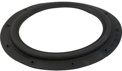 Hayward ECX1039 EC30 Diaphragm Gasket