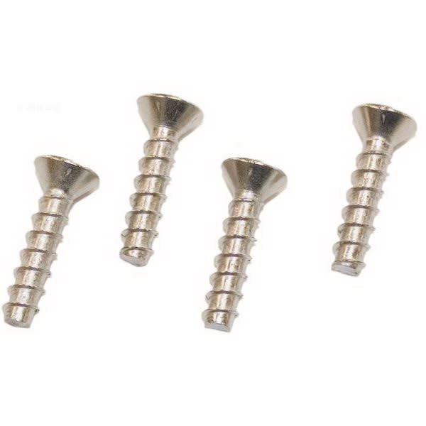 Hayward Screw Set, 4/Pack | SPX1039Z1A