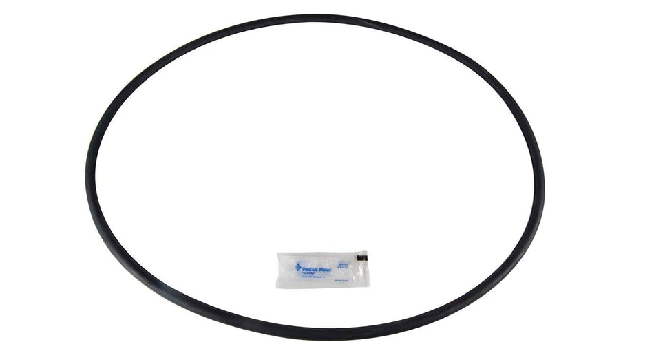 Pentair 27001-0061S Filter Tank Cord Ring